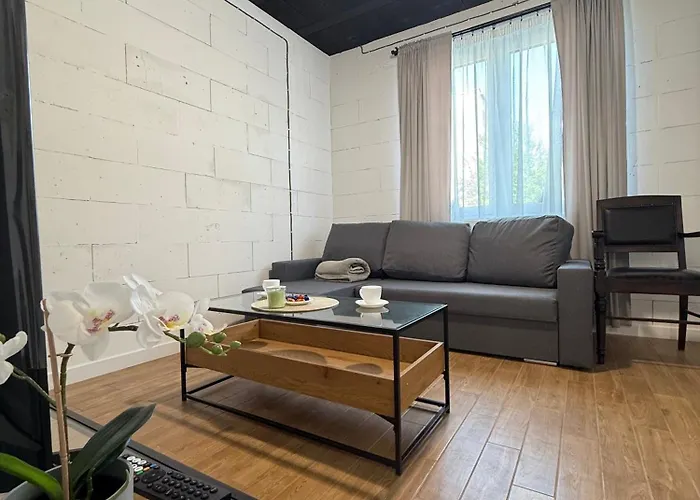 Miernicza Apartment *